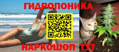 прущие грибы Апшеронск