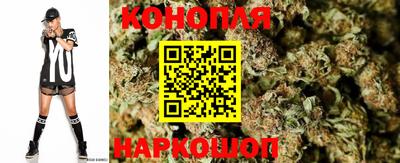 прущие грибы Апшеронск