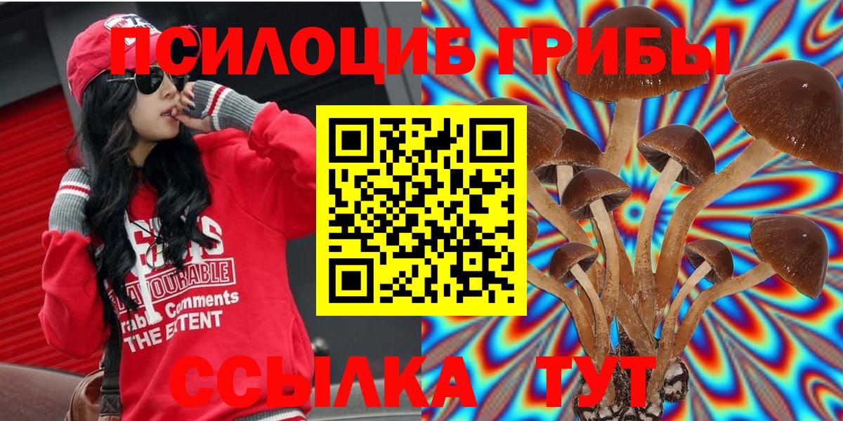 Скопин  Псилоцибиновые грибы MAGIC MUSHROOMS  Вход с VPN 