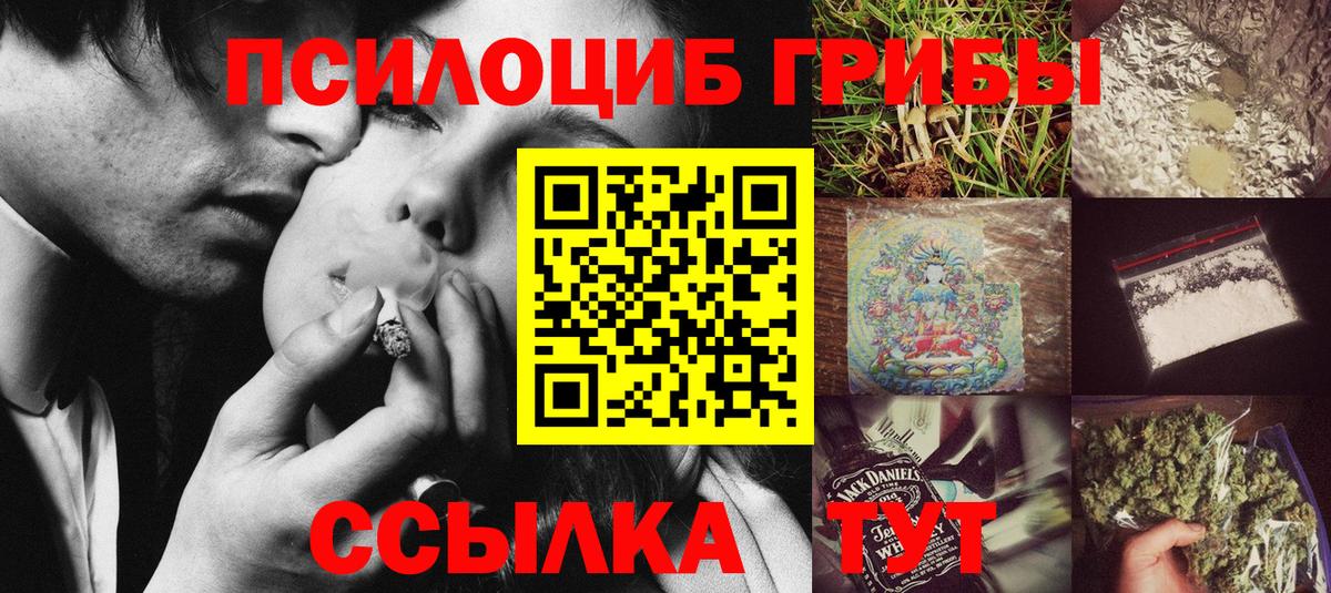 Псилоцибиновые грибы мицелий Скопин